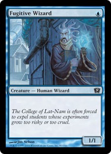 (image for) Fugitive Wizard
