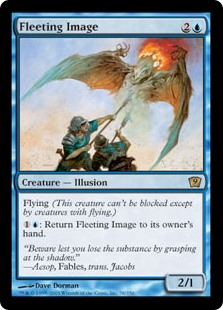 (image for) Fleeting Image (Foil)