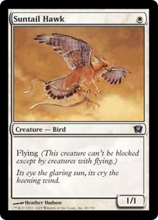 (image for) Suntail Hawk (Foil)