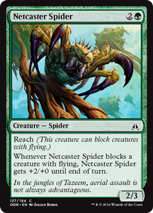(image for) Netcaster Spider