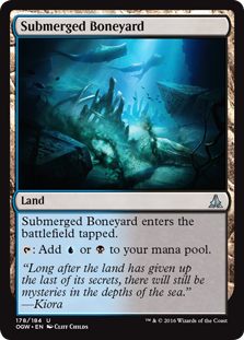 (image for) Submerged Boneyard