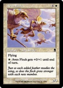 (image for) Aven Flock