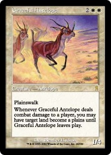 (image for) Graceful Antelope