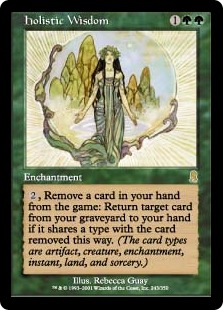 (image for) Holistic Wisdom