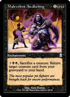 (image for) Malevolent Awakening