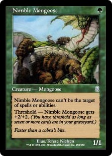 (image for) Nimble Mongoose