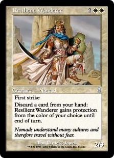 (image for) Resilient Wanderer
