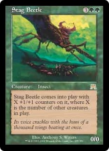 (image for) Stag Beetle