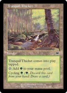 (image for) Tranquil Thicket (Foil)