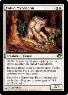 (image for) Pallid Mycoderm (Foil)