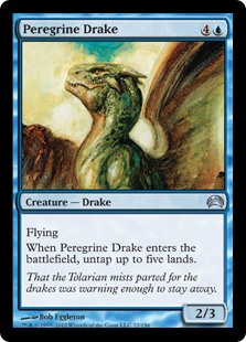 (image for) Peregrine Drake