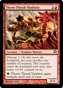 (image for) Thorn-Thrash Viashino