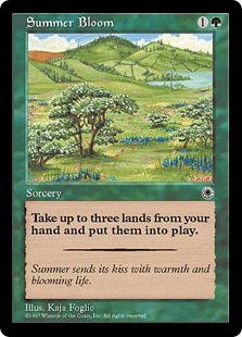 (image for) Summer Bloom