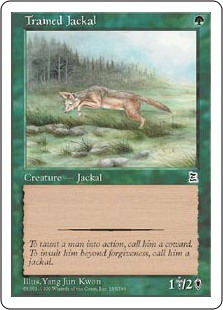(image for) Trained Jackal