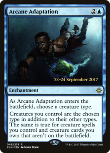 (image for) Arcane Adaptation