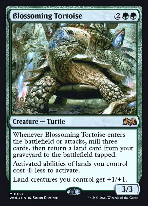 (image for) Blossoming Tortoise