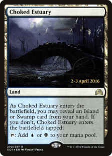(image for) Choked Estuary