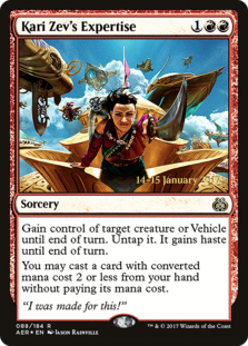 (image for) Kari Zev's Expertise
