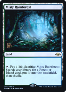 (image for) Misty Rainforest