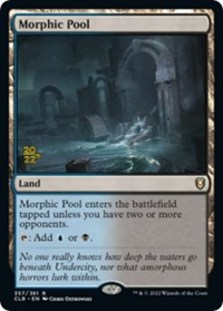 (image for) Morphic Pool