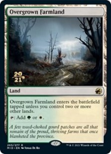(image for) Overgrown Farmland