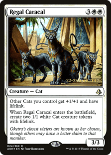 (image for) Regal Caracal