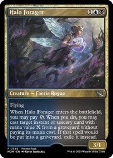 (image for) Halo Forager