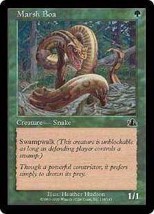 (image for) Marsh Boa