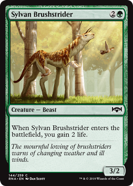 (image for) Sylvan Brushstrider