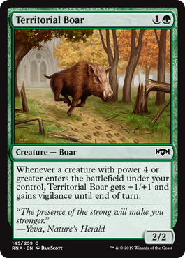 (image for) Territorial Boar