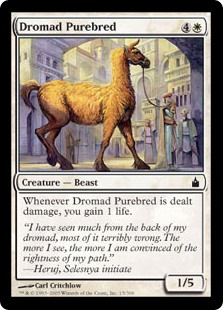 (image for) Dromad Purebred (Foil)