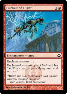 (image for) Pursuit of Flight