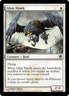 (image for) Glint Hawk