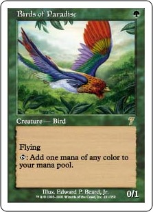 (image for) Birds of Paradise (Foil)