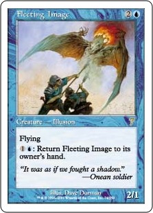 (image for) Fleeting Image (Foil)