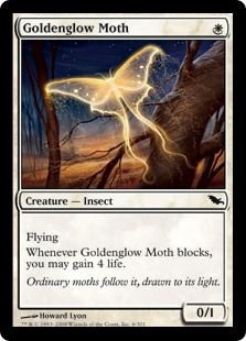 (image for) Goldenglow Moth