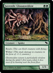 (image for) Juvenile Gloomwidow