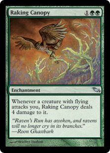 (image for) Raking Canopy