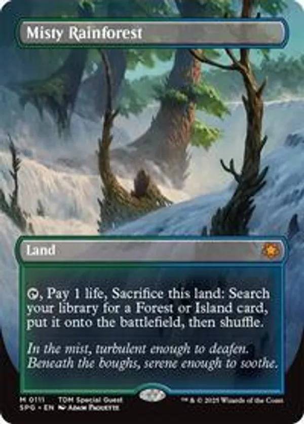 (image for) Misty Rainforest (Borderless)