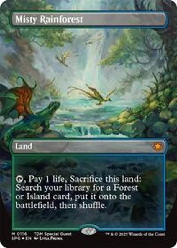 (image for) Misty Rainforest (Borderless)