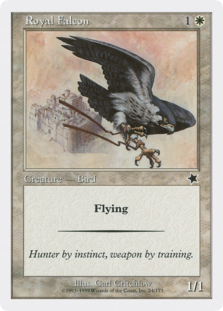 (image for) Royal Falcon