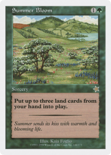 (image for) Summer Bloom