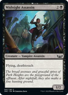 (image for) Midnight Assassin