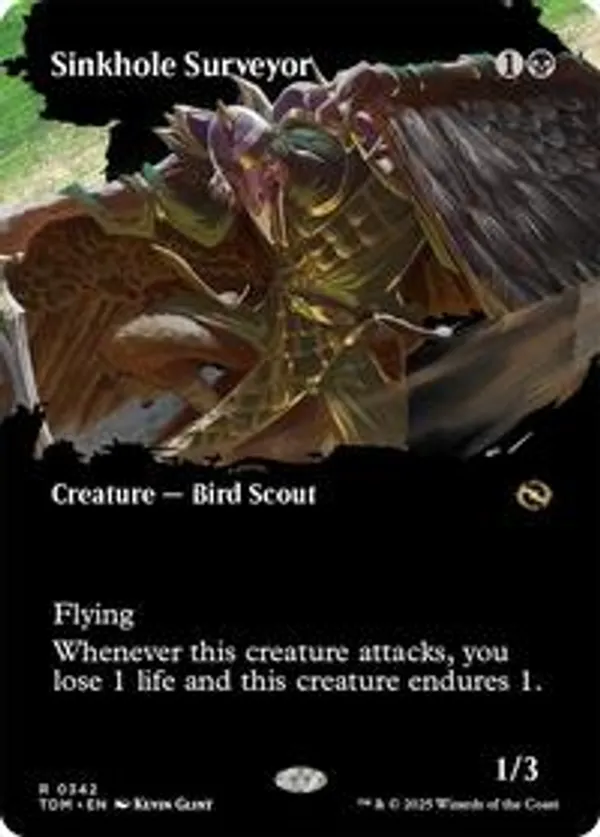 (image for) Sinkhole Surveyor (Borderless)