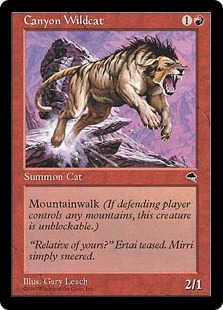 (image for) Canyon Wildcat