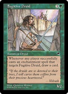 (image for) Fugitive Druid