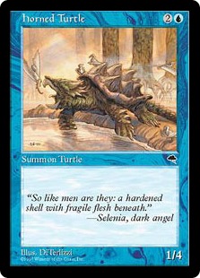 (image for) Horned Turtle