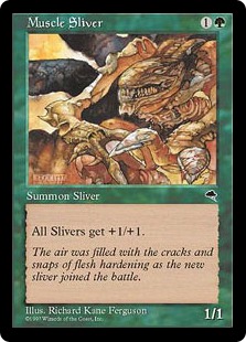 (image for) Muscle Sliver