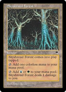 (image for) Skyshroud Forest