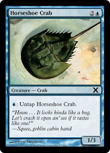 (image for) Horseshoe Crab